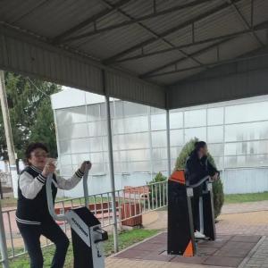 �����������